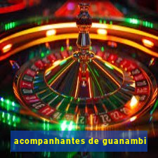 acompanhantes de guanambi